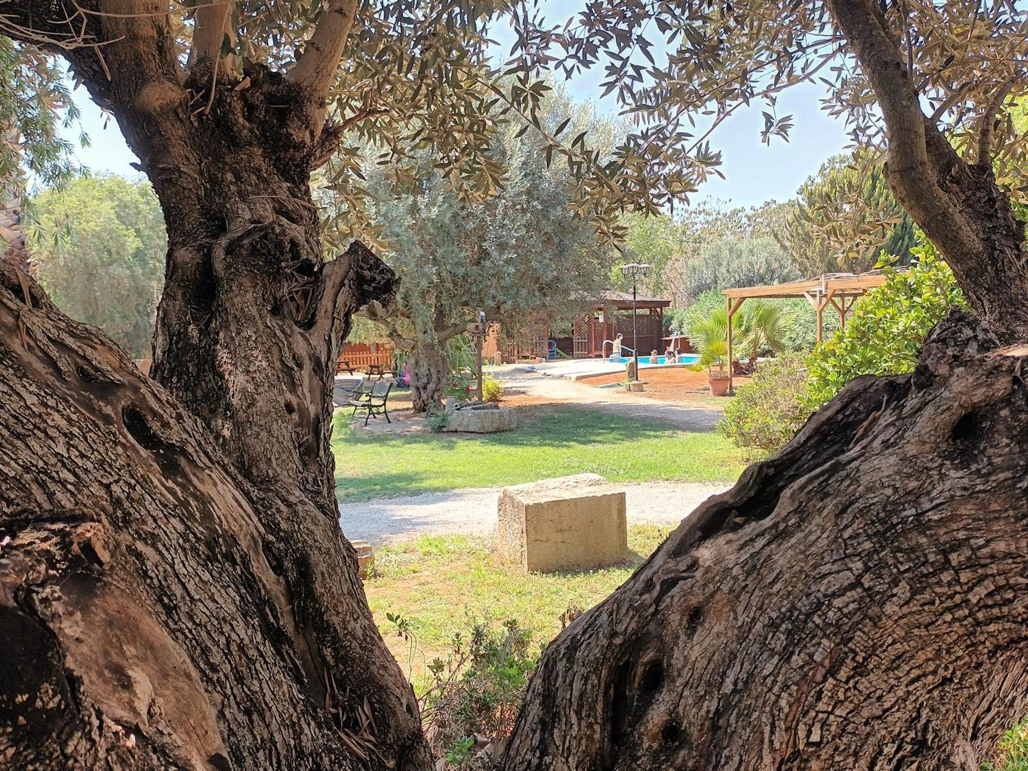 فيلا Entre Viejos Olivos Benicolet المظهر الخارجي الصورة