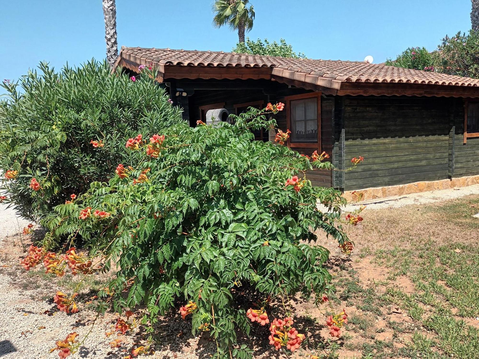 فيلا Entre Viejos Olivos Benicolet المظهر الخارجي الصورة