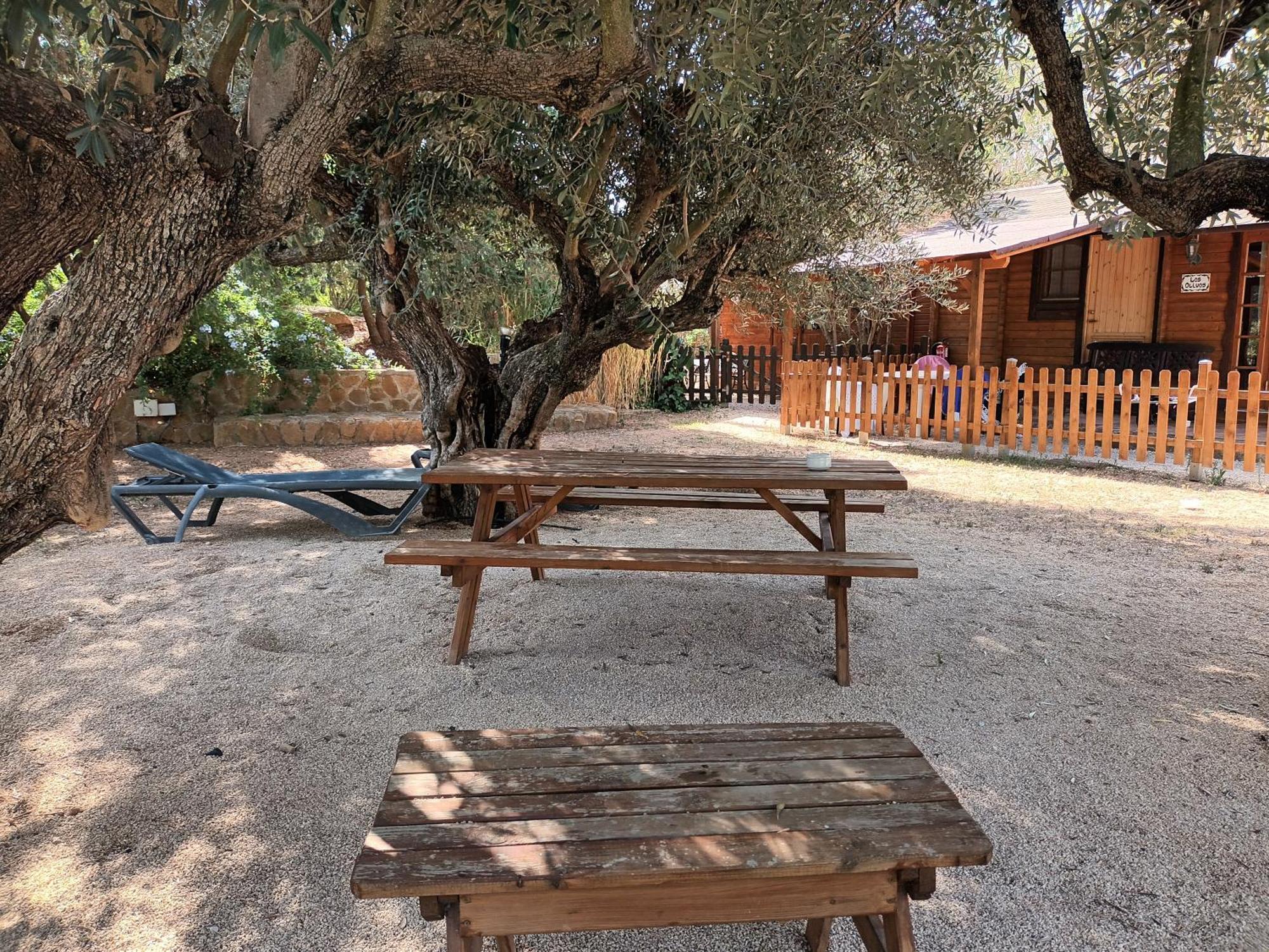 فيلا Entre Viejos Olivos Benicolet المظهر الخارجي الصورة
