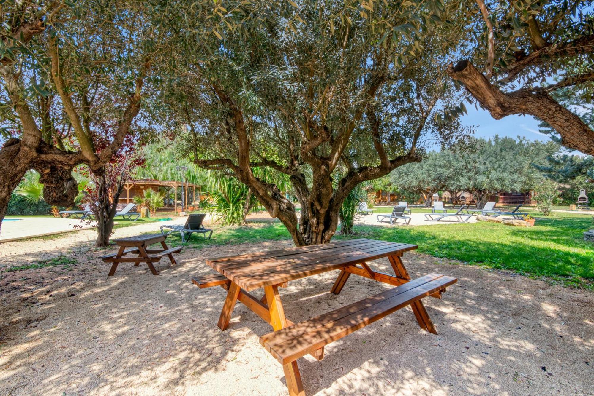 فيلا Entre Viejos Olivos Benicolet المظهر الخارجي الصورة